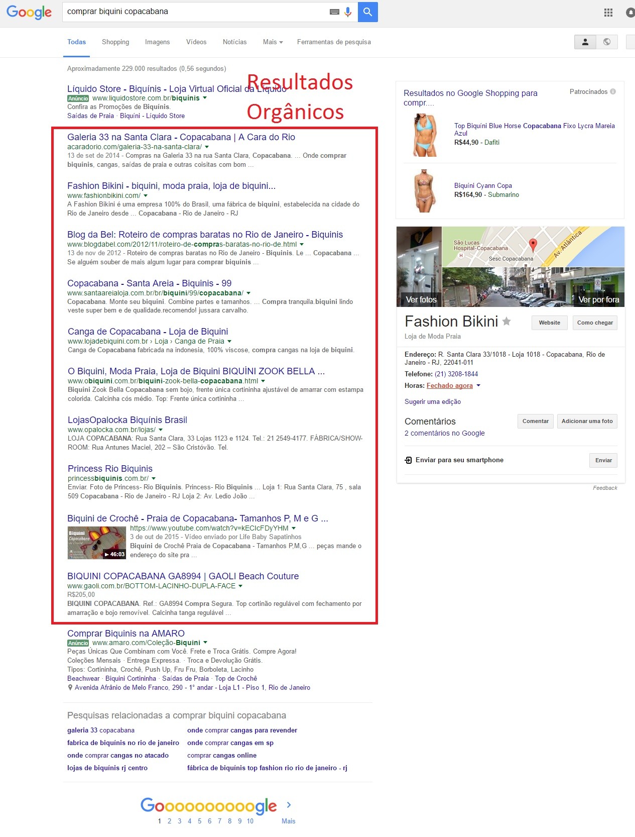 resultados-organicos-google